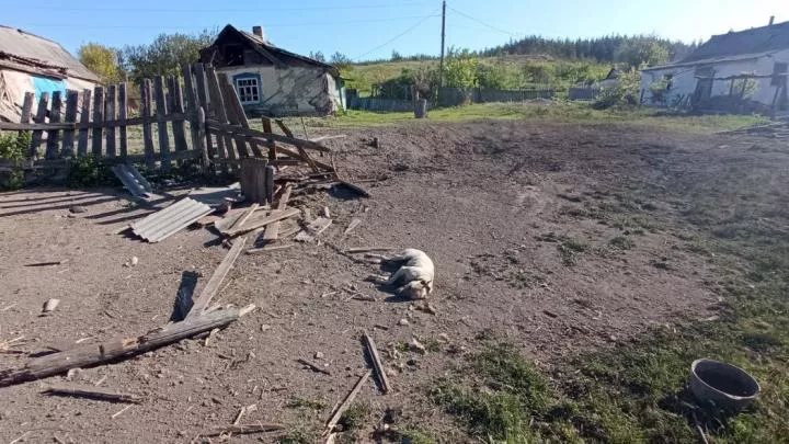 Штрих войны за Донбасс. Ад в Богородичном 