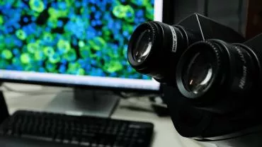 Минобороны РФ: Пентагон интересовали на Украине насекомые-переносчики инфекций