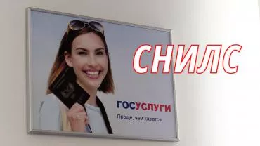 В ДНР продолжат работу по выдаче СНИЛС