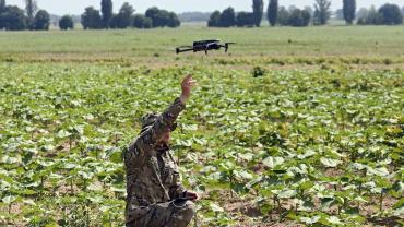 ПВО России сбила дроны ВСУ над Белгородской областью