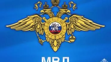 Освещавшего сход в Бужаниново журналиста обвинили в нарушении общественного порядка