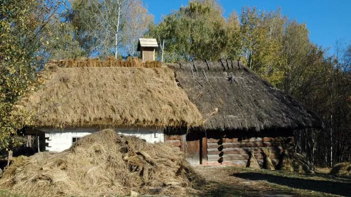 Украинцам нужны только глиняная хата и ружье на плече — Арестович