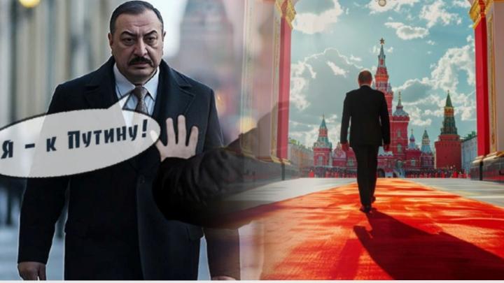 Алиеву не понравился выпад против Садовода? СМИ утверждают: Это они по указке Кремля!