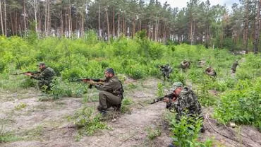 Группировка ВСУ была уничтожена при очередной попытке контрнаступления под Херсоном