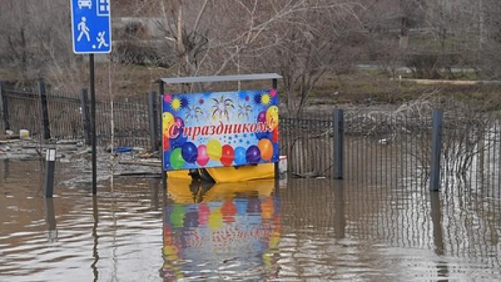 Грызуны прогрызли дамбу: Прорыв дамбы вскрыл гнойник коррупции в старых элитах России. Скандал с сыном мэра Орска, уехавшим в Дубай