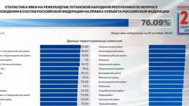 Явка в ЛНР превысила 76% - в ЦИК заявили, что референдум состоялся