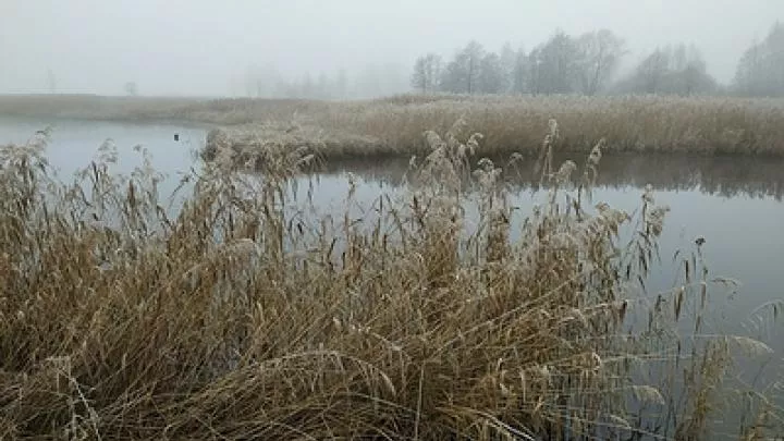 Экоактивисты выдвинули свою версию отравления воды в Донбассе