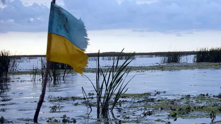 В соцсетях дали оценку «специфической» реакции Рады на массовое бегство украинцев из страны