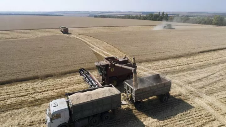 Киев расплачивается зерном за поставленное Западом оружие — Полянский