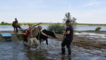 Более 3 тысяч домов Херсонской области освободились от воды 