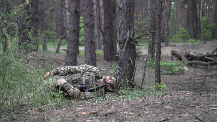 Киев бросил иностранных наемников наступать на новодонецком участке – МО