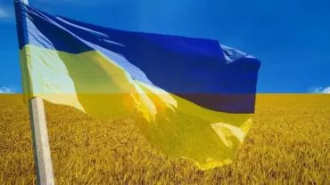 На Украине предложили привлечь жителей Донбасса к электронному голосованию