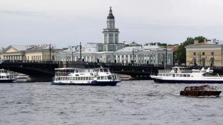 Чиновницу из Санкт-Петербурга, сорвавшую выставку в поддержку СВО, планируют наградить 