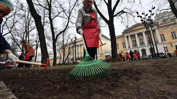 В столице ДНР пройдут общегородские субботники