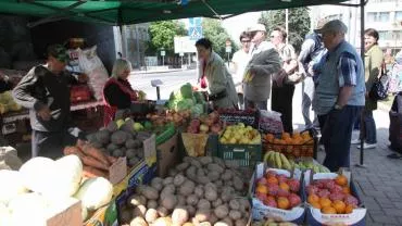 Власти ДНР ограничат максимальную цену на картофель