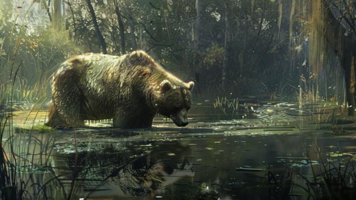 Затащить медведя в болото: В Незалежной начали говорить о мирных переговорах с Россией