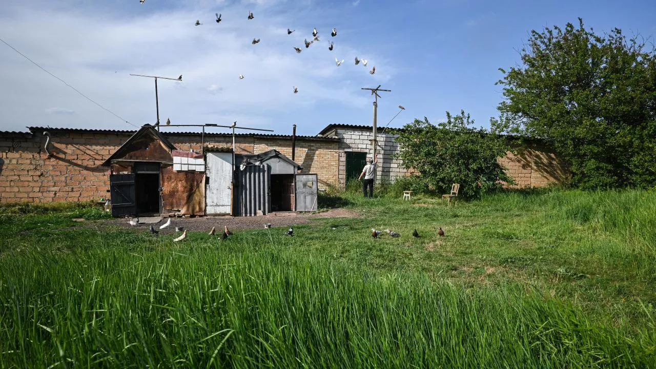 На артемовском направлении. Русский поселок. Поселок вершина. Поселок Артемовск. Населенный пункт это.