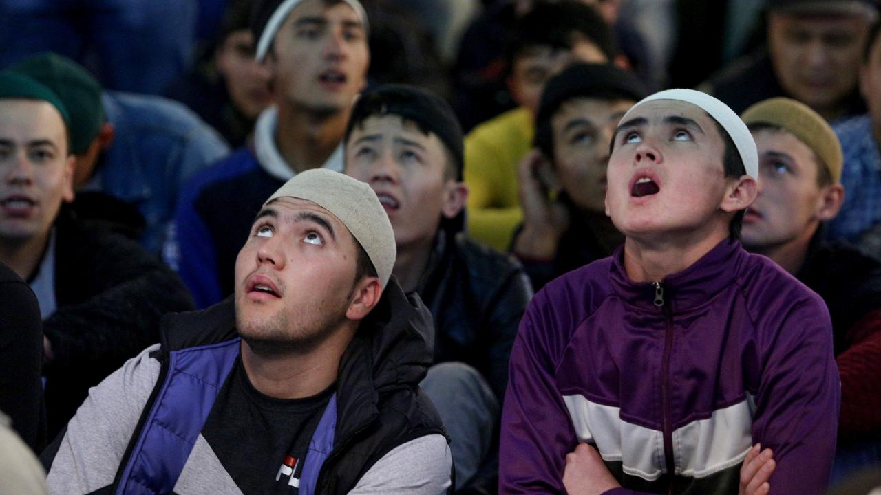 Три дрожать. Цитаты соломона про глупому. Морфологический разбор слова подрагивая. Дрожь земли берт гаммер. Три дрожать.