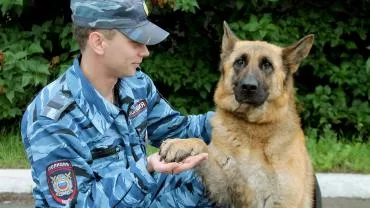 Российские кинологи организуют в Донецке национальную выставку собак